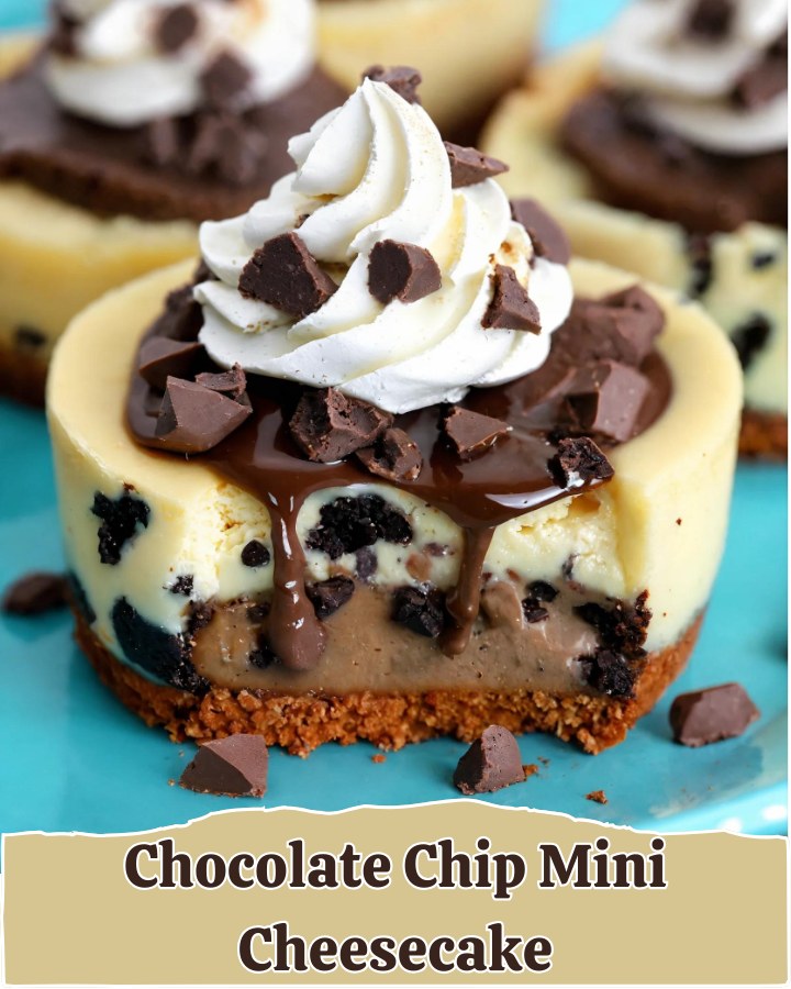 Chocolate Chip Mini Cheesecakes