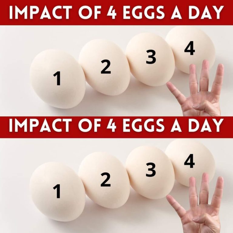 The Impact of Eating Four Eggs a Day: A Closer Look